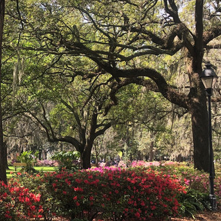 Savannah, GA park