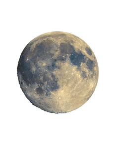 WhatsApp Image 2025-04-02 at 17.41_edite