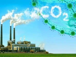 PHÁT THẢI KHÍ CARBON TẠI VIỆT NAM