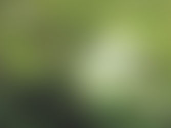 5 Bước Tối Ưu Hóa Quy Trình Thu Thập Dữ Liệu Esg Cho Các Tổ Chức Tài Chính