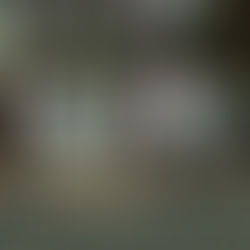 Spring time in Kiev - 2019