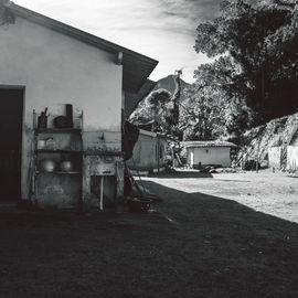 The backyard