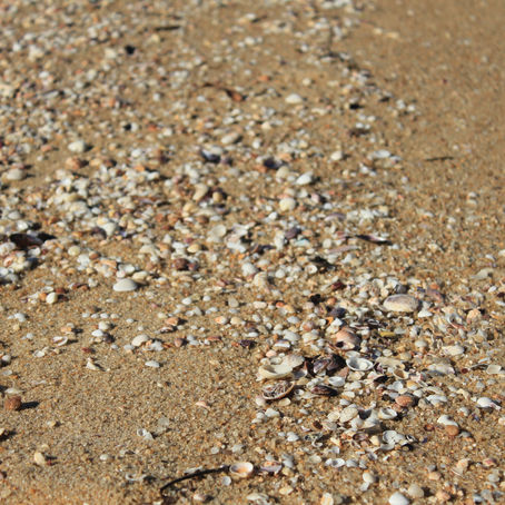 A curious reflection on macro photography