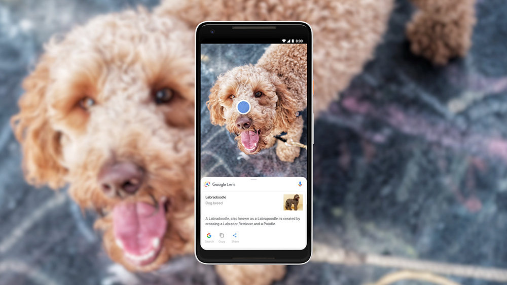 Google Lens: Pesquise o que você vê.