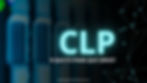 CLP: Como funciona e para que serve?