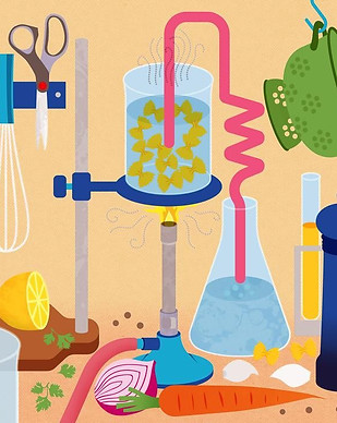 Chemistry of Cooking.jpg