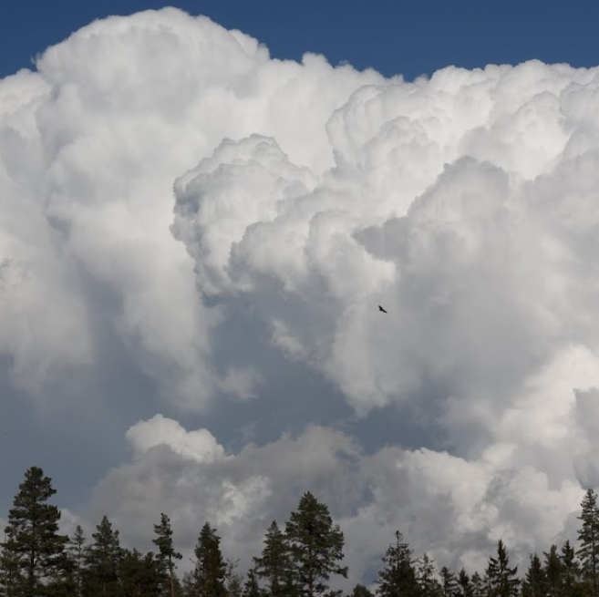 Prosjektet er foreløpig et luftslott