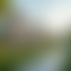 Maximize Real Estate Returns with Next Move Solutions