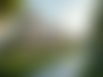 Maximize Real Estate Returns with Next Move Solutions