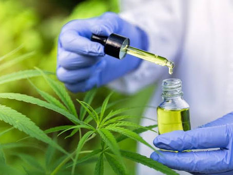 Inscrições Abertas - 1ª Congresso Acadêmico Brasileiro de Cannabis Medicinal - FCF/USP