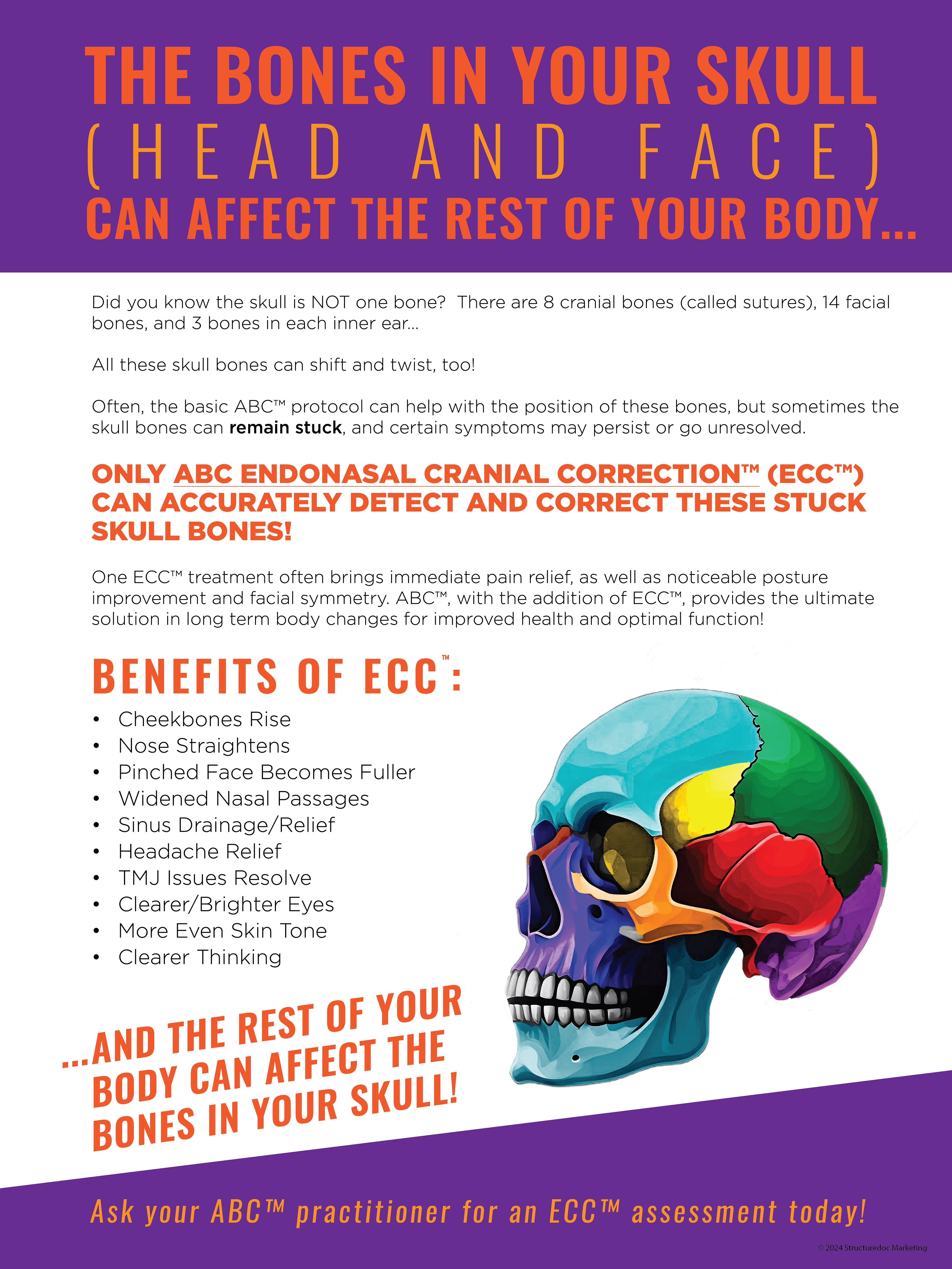 Endonasal Poster (18"x24")
