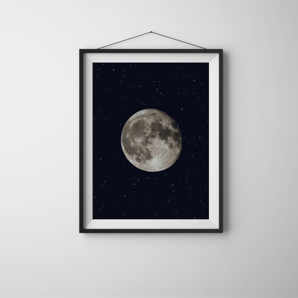 TO THE MOON AND BACK