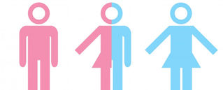 Stepping outside the binaries – intersexuality and gender diversity