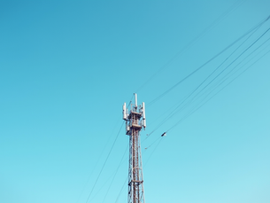 Understanding Low and Mid-Band Spectrum Availability