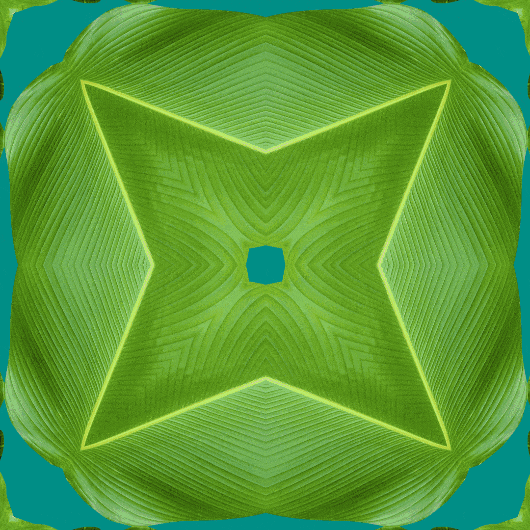 GROSVENOR_Into_The_Wild_Square_002_1x1.gif