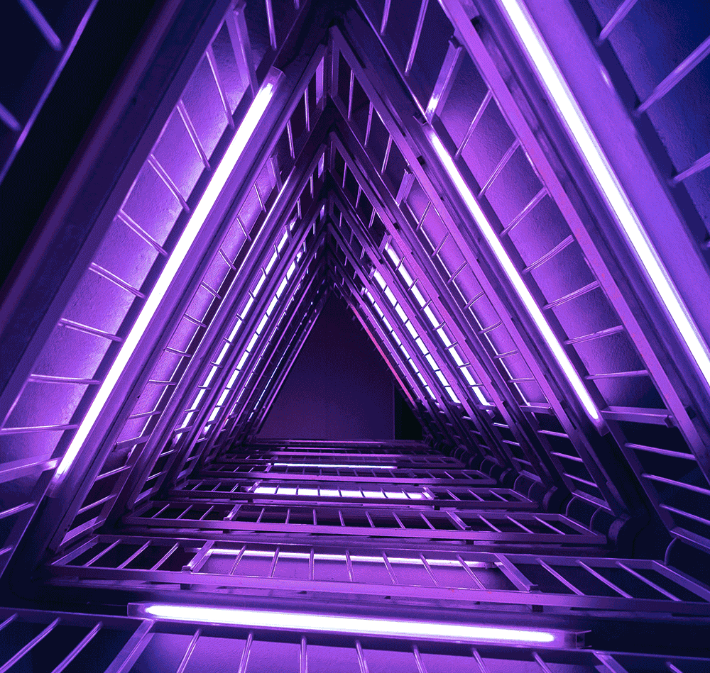 YolkColorInspo.gif
