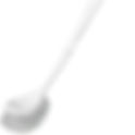 Toilet Brush