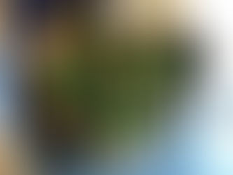 TOP DÉPARTEMENTAL DE DÉTECTION