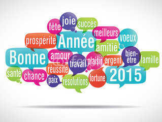Voeux_2015.jpeg