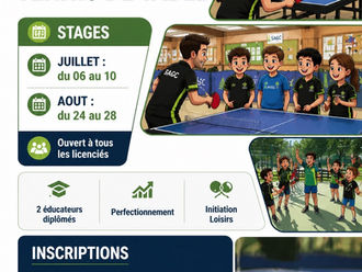 STAGES ETE 2026