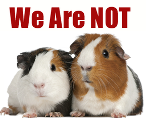 Meeting with the Mayor