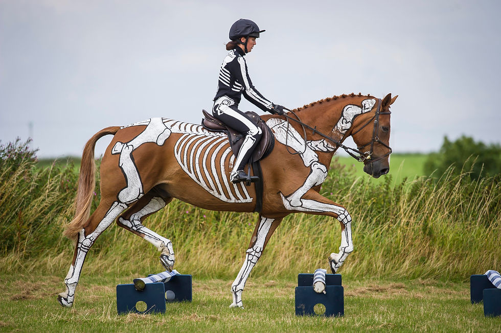 Totting a horse over raised poles