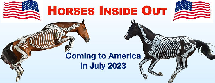 Horses Inside Out: In America 2023