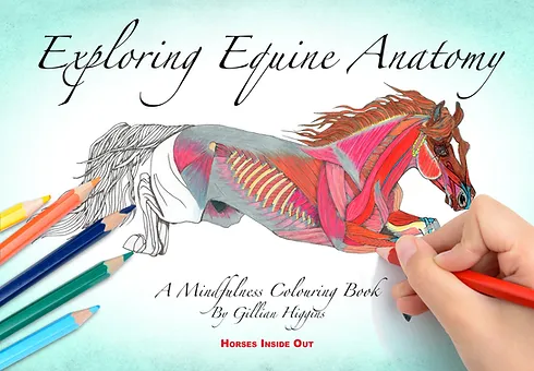 Download Horses Inside Out Anatomy Biomechanics Education United Kingdom