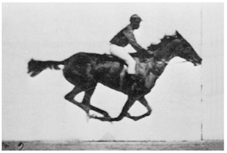 Galoping horse