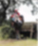 Gillian Higgins, advanced event rider, with her horse Quake at Aston-Le-Walls advanced BE event