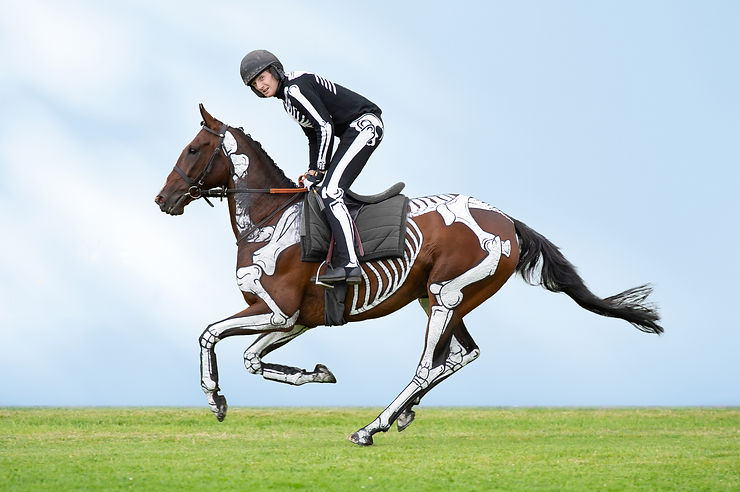 Horses Inside Out: Skeletally painted racehorse