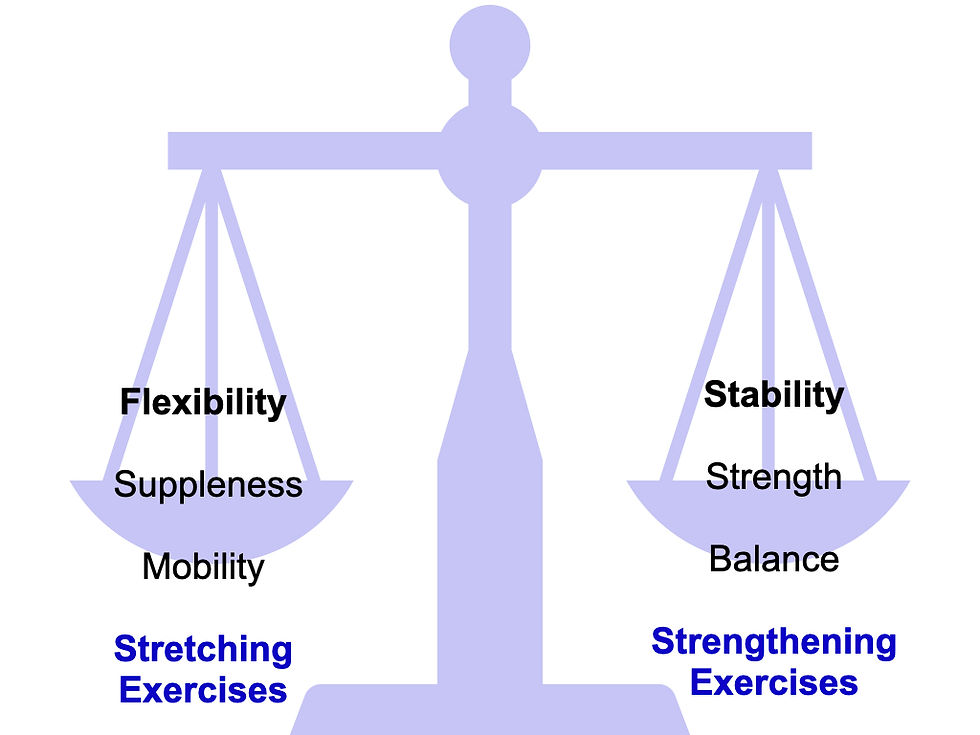 pilates for horses, stretching, strengthening, core stability and improve balance, co-ordination with these simple exercises you can with your own for. For happy healthy horses, it is key to balance flexibilty with stability.