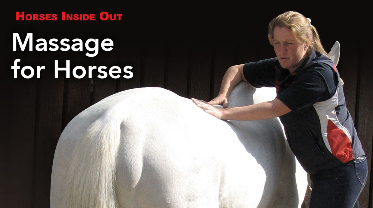 Academy Online Massage Course