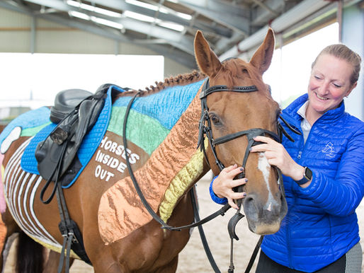 Painted horse with rider assessing bridle fit