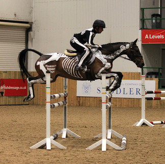Gillian Higgins and Horses Inside Out. Simon Grieve and Autograf demonstration how the lumbosacral junction moves during the stages of a jump.