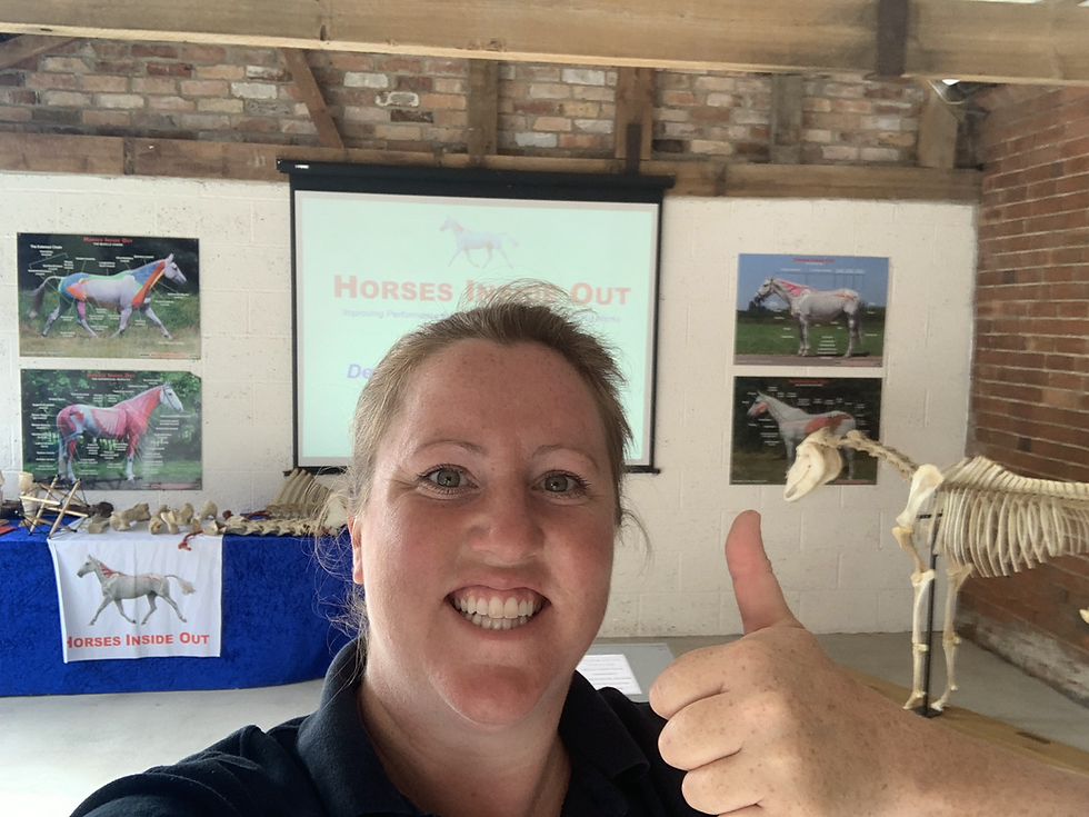 gillian higgins horses inside out new classroom