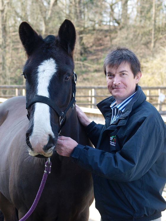 Learning to Listen to Your Horse
