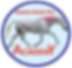 gillian higgins horses inside outHorses Inside Out Academy, online videos, learning hub, biomechanics, anatomy