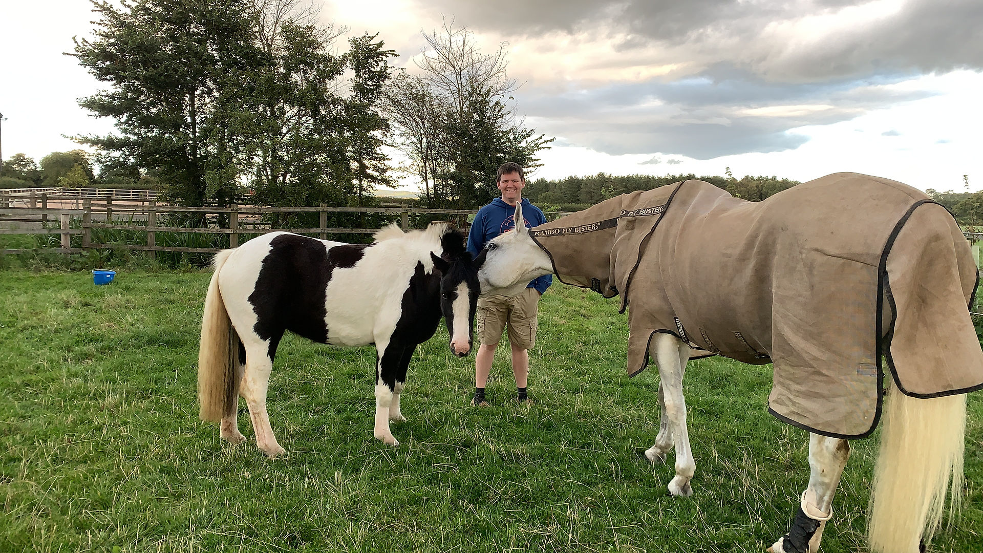 Pumpernickel blue cross rescue adopted pony by horses inside out with Freddie Fox and Doug Robertson