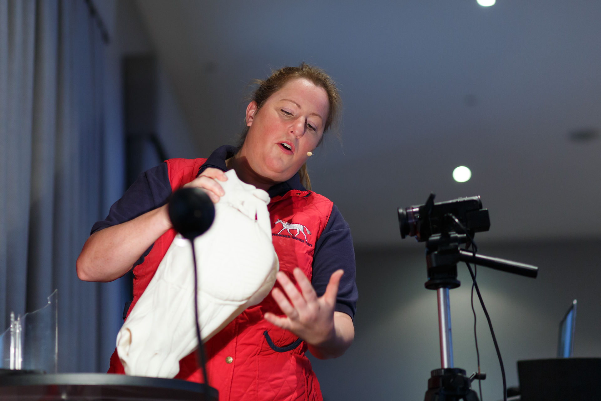 Gillian Higgins explaining anatomy of the horses head