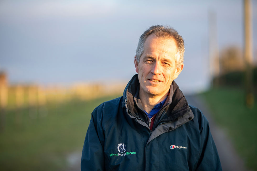 Roly Owers, CEO World Horse Welfare