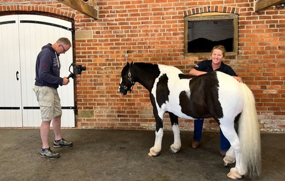 Horses Inside Out Online Massage Course