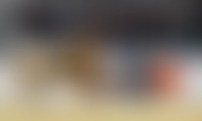 Training the horse in the 21st century