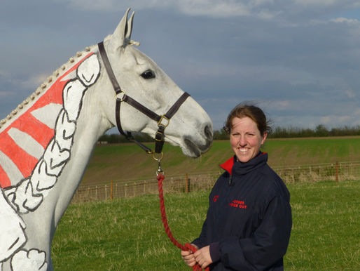 painted horse
