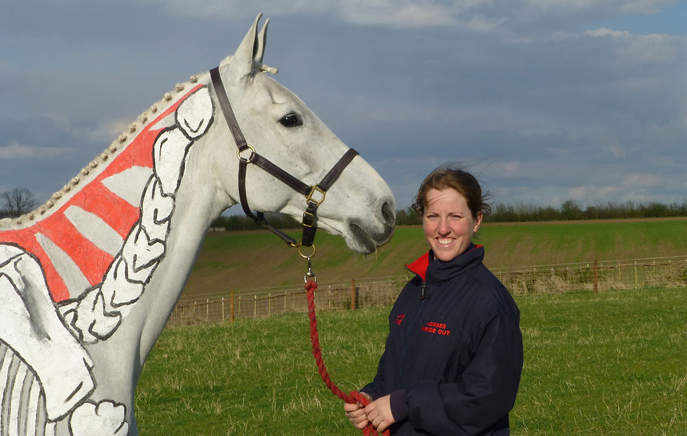 painted grey horse