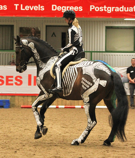 Riding Transitions