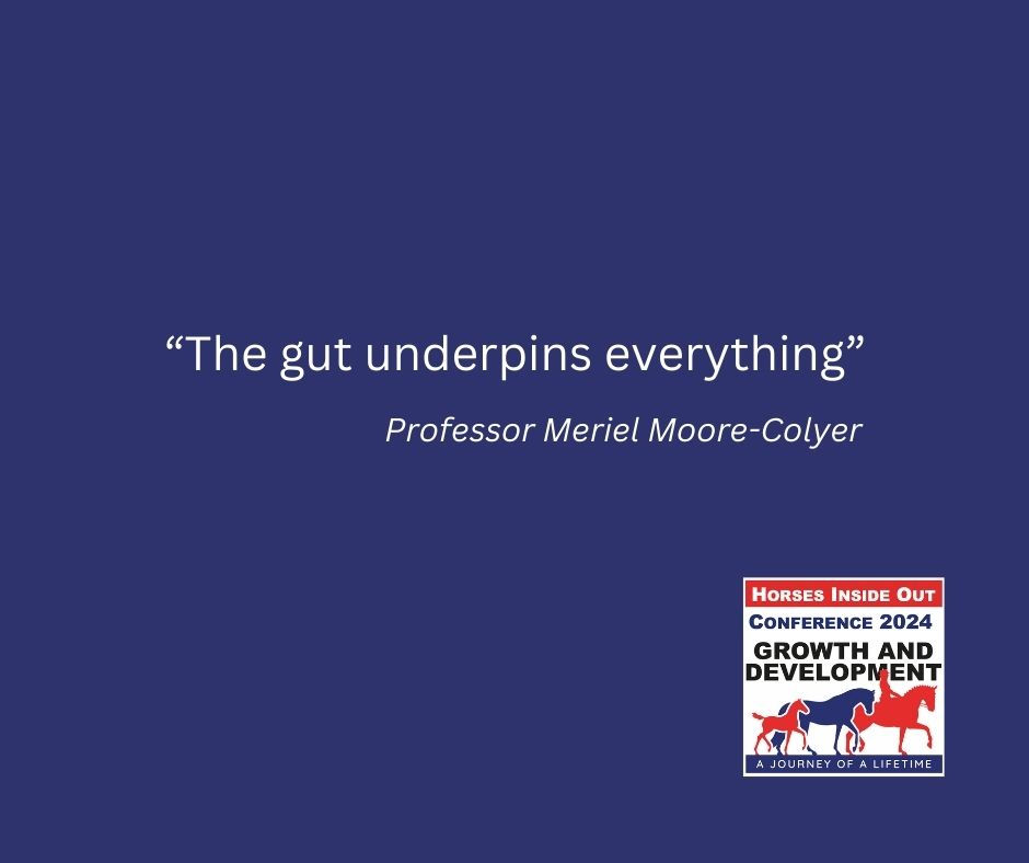 Horses Inside Out 2024: Professor Moore-Colyer