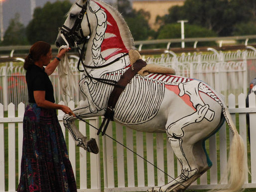 Training Your Horse from the Anatomical Perspective. Part 3: On the Forehand