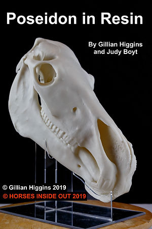 poseidon in resin anatomical horse head