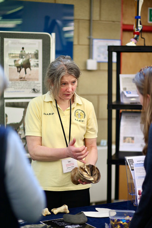 institute applied equine podiatry